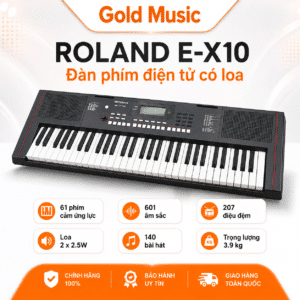 roland e x10 dan phim dien tu loa