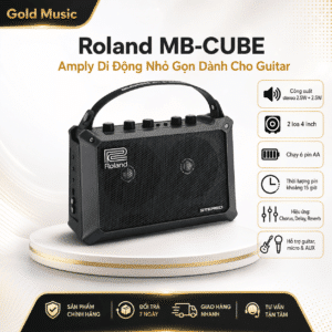 roland mb cube amply di dong danh