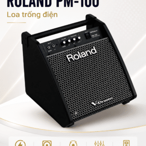 ROLAND PM-100 Loa trống điện