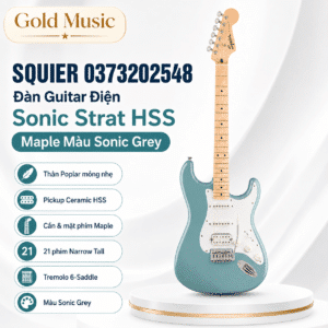 squier 0373202548 dan guitar dien sonic strat