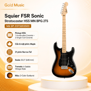 squier 0373203503 dan guitar dien fsr