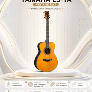 ls ta vintage 5