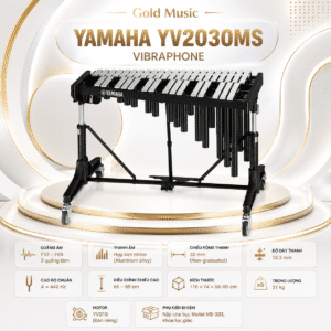 yv2030ms 3
