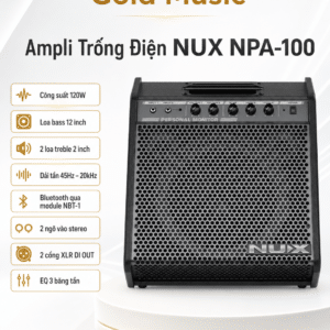 ampli trong dien nux npa 100 5
