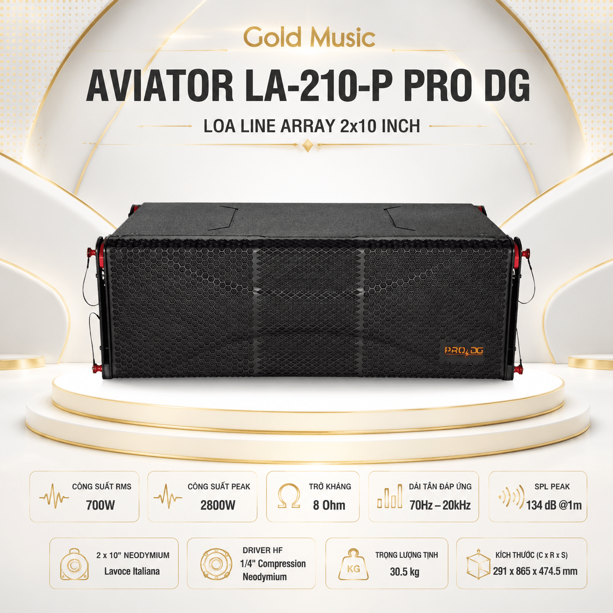 AVIATOR LA-210-P PRO DG Loa Line Array 2x10 Inch aviator la 210 p pro dg loa