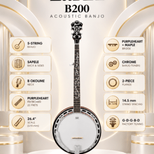 banjo ibanez b200 4