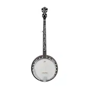 banjo ibanez b200 4