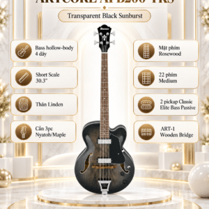 bass ibanez afb200 tks 1
