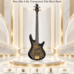 bass ibanez gsr200pc tpb 5