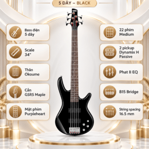 bass ibanez gsr205 bk 2