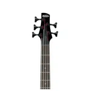 Bass điện Ibanez GSR205B-WNF 5 dây màu Walnut Flat bass ibanez gsr205b wnf 1