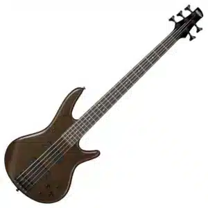 Bass điện Ibanez GSR205B-WNF 5 dây màu Walnut Flat bass ibanez gsr205b wnf 2