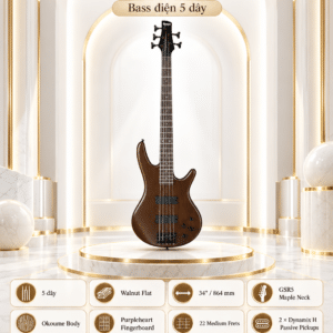 bass ibanez gsr205b wnf 3