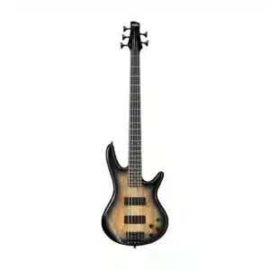 bass ibanez gsr205sm ngt 2