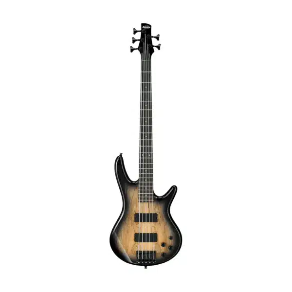 bass ibanez gsr205sm ngt 2