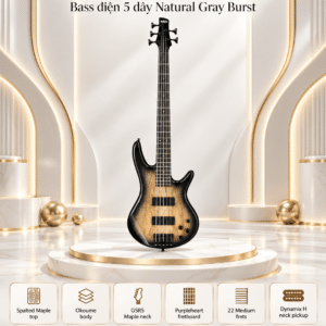 bass ibanez gsr205sm ngt 2