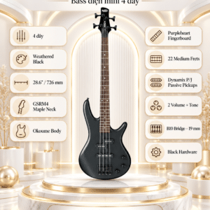 bass ibanez gsrm20b wk 4
