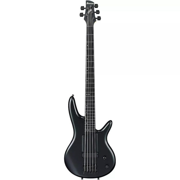 Bass điện Ibanez Gary Willis Signature GWB35-BKF 5 dây màu Black Flat bass ibanez gwb35 bkf 4