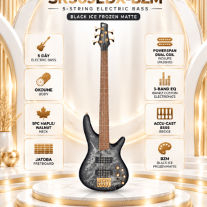 bass ibanez sr305edx bzm2
