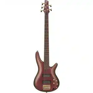 bass ibanez sr305edx rgc 5 5