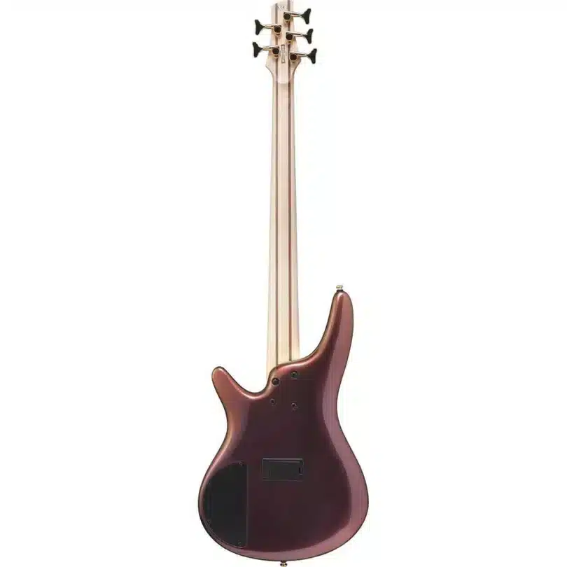 bass ibanez sr305edx rgc 54 bass ibanez sr305edx rgc 54