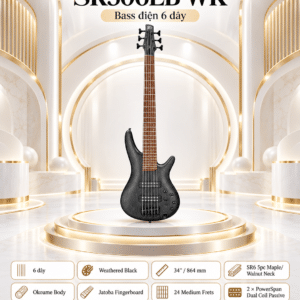 bass ibanez sr306eb wk 5