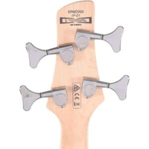 bass ibanez srmd200 cam