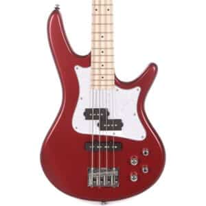 bass ibanez srmd200 cam 5