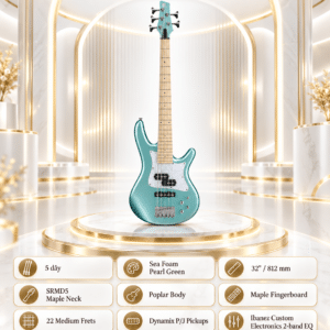 bass ibanez srmd205 spn 4