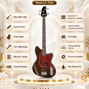 bass ibanez tmb100 wnf 3