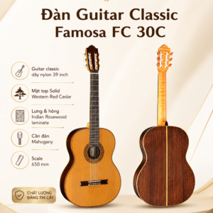 dan guitar classic famosa fc 30c