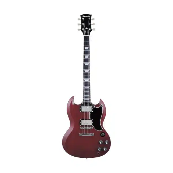 edwards e sg 120lt2 ch
