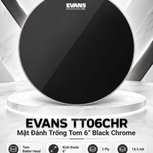 evans tt06chr