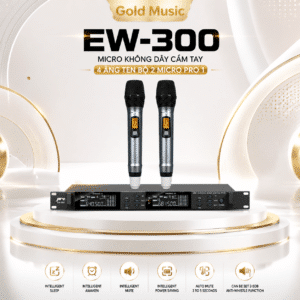 ew 300 pro1 3