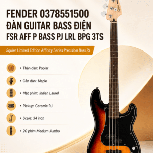 fender 0378551500 guitar dien fsr aff
