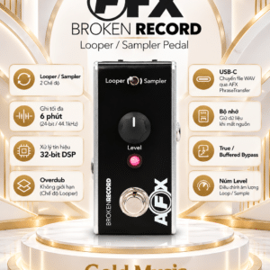 fishman afx broken record 2