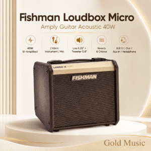Fishman Loudbox Micro – Amplifier Acoustic Guitar fishman loudbox micro amplifier