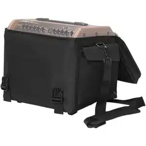fishman loudbox mini deluxe carry bag