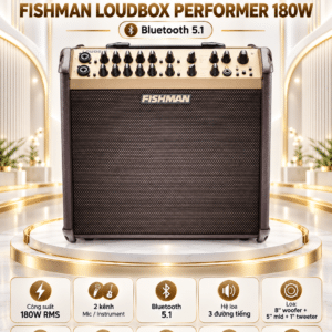 fishman loudbox performer 180w 4