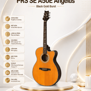 guitar acoustic dien prs se a50e angelus