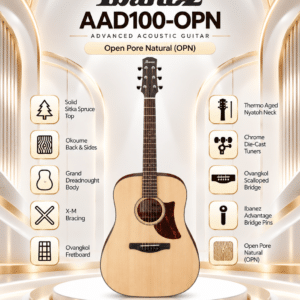 ibanez aad100 opn 3