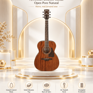 ibanez ac340 opn 3