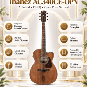 ibanez ac340ce opn 3