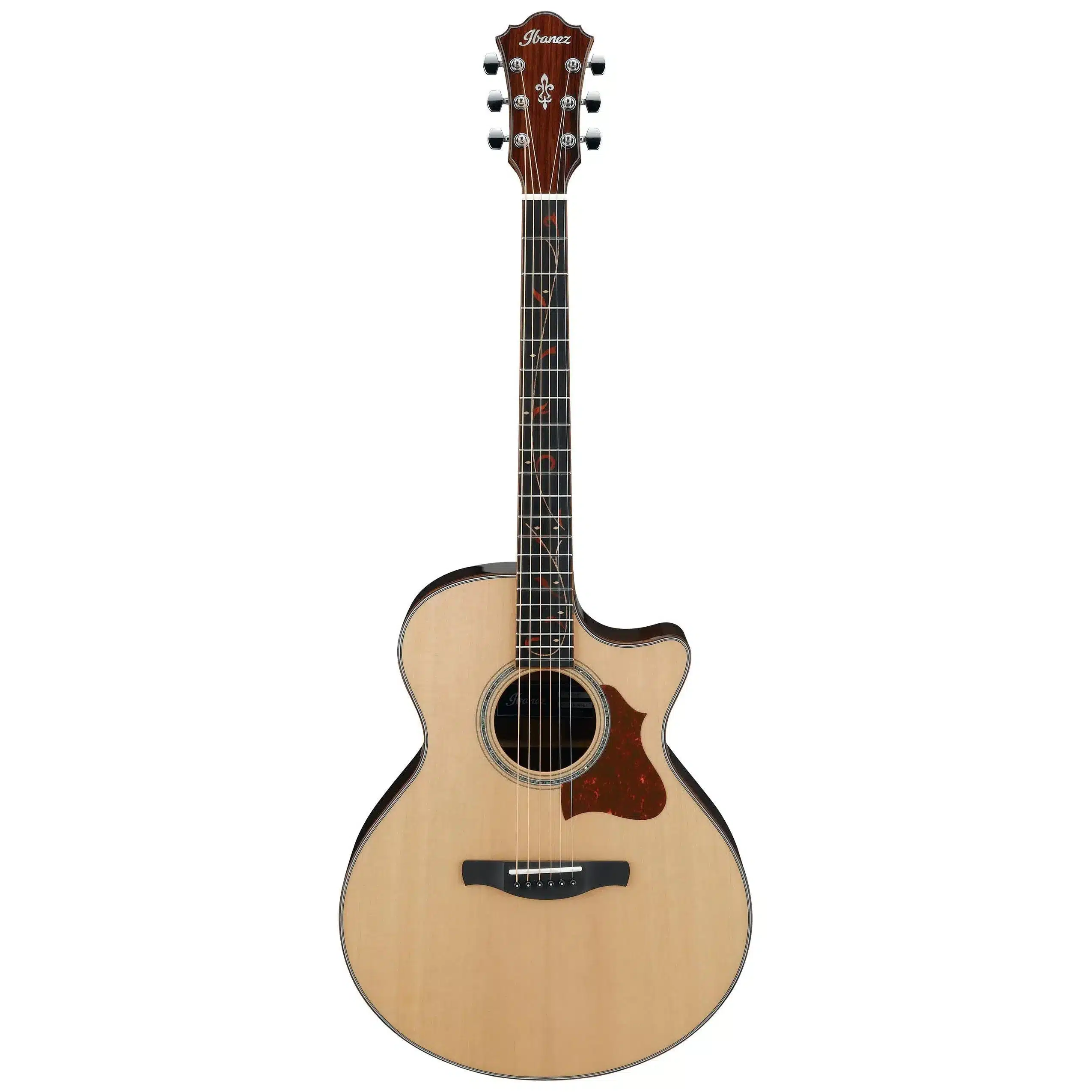 ibanez ae315zr nt 2 ibanez ae315zr nt 2
