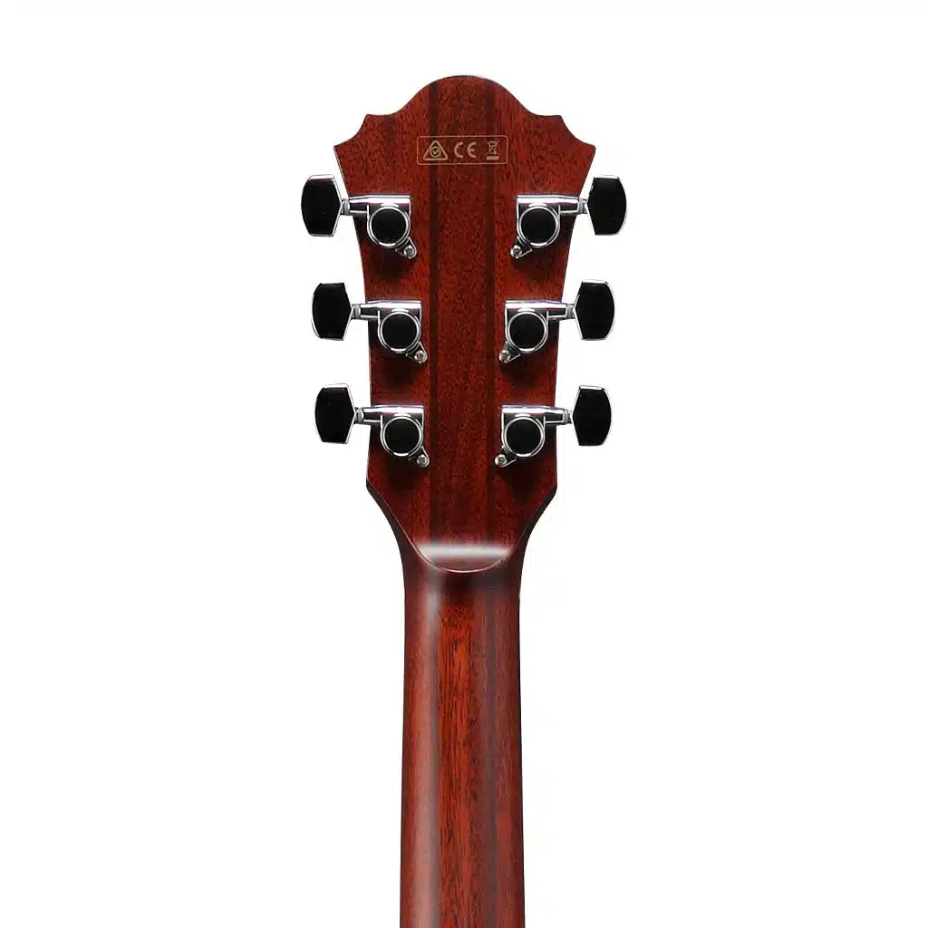 ibanez ae410 lgs 1 ibanez ae410 lgs 1