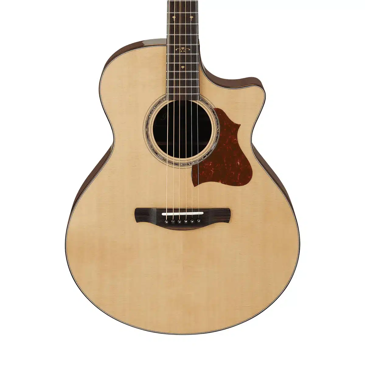 ibanez ae519 nt 1 ibanez ae519 nt 1