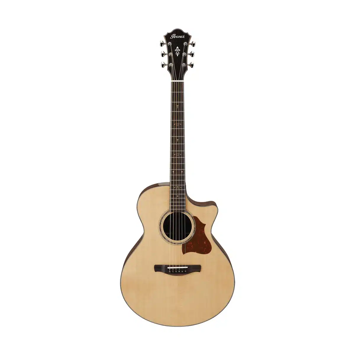 ibanez ae519 nt 2 ibanez ae519 nt 2