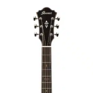 Ibanez AE519-NT guitar acoustic kèm case Natural ibanez ae519 nt