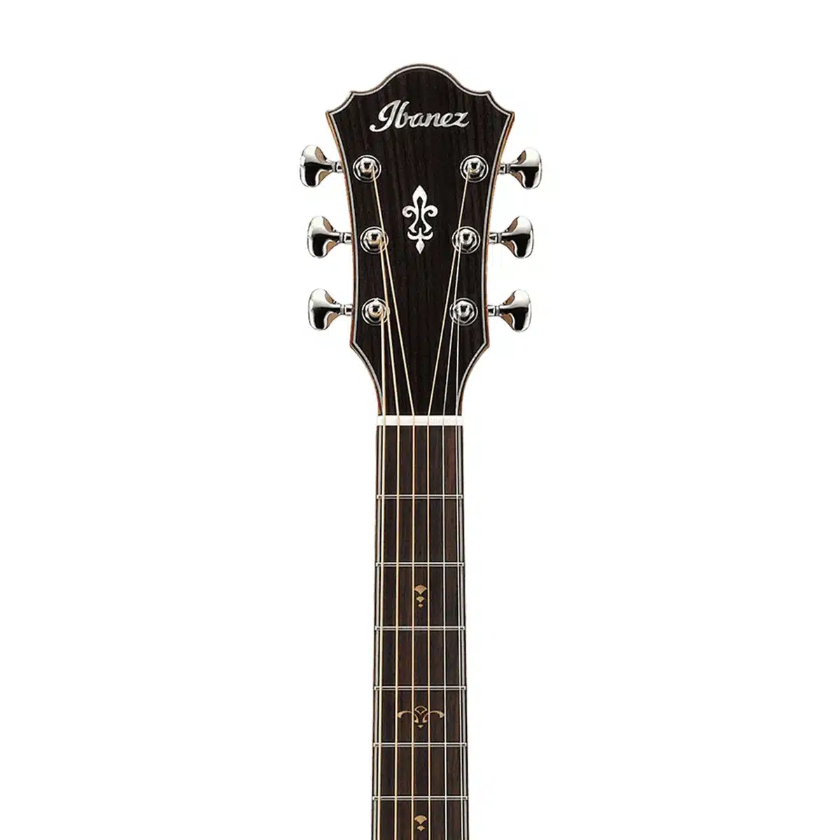 ibanez ae519 nt ibanez ae519 nt