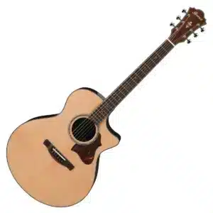 ibanez ae900 nt 2
